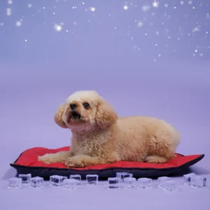 Cooling Mat for Dogs