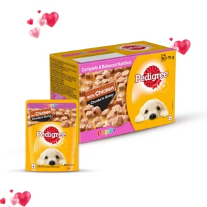 Pedigree Puppy Wet Dog Food with Chicken Chunks in Gravy