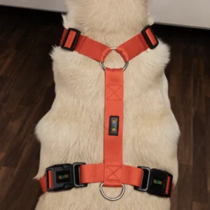 Premium H Harness for Dogs