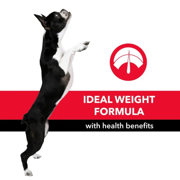 Purepet Dry Dog Food - Chicken and Vegetable - Image 7